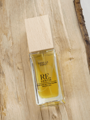 Re.sentir - Dans la forêt - Couverture