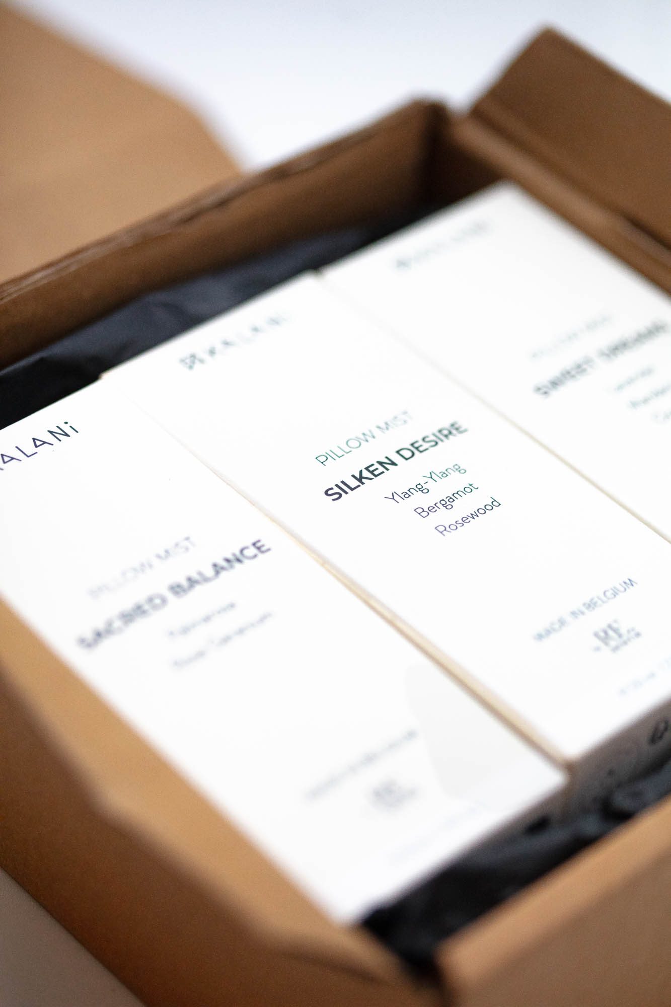 Re.sentir Trio brumes d'oreiller